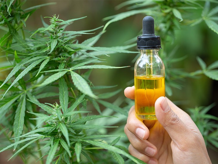 CBD_Oil_732x549-thumbnail